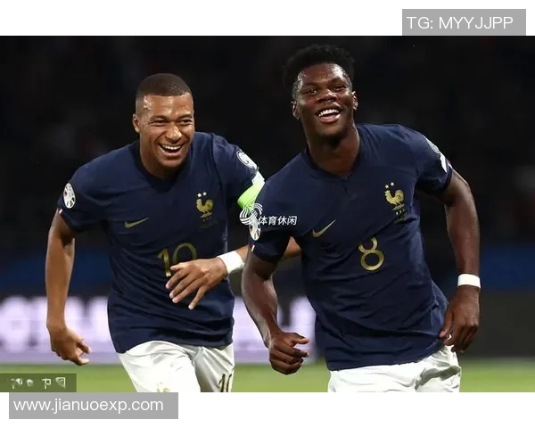 法国足球明星的妻子们她们的魅力与风采揭秘