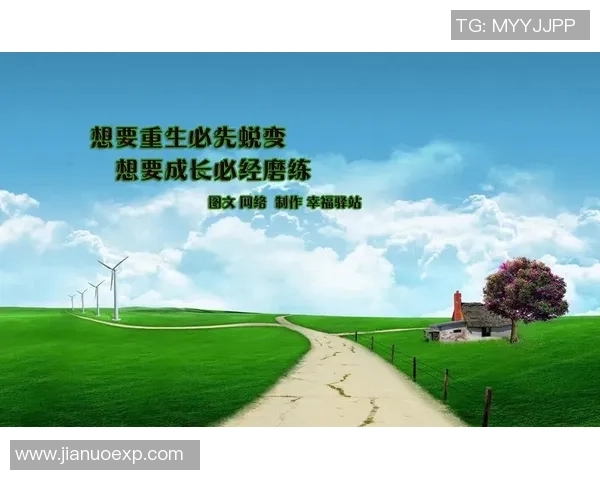 西安排球队的成长与蜕变：冠军赛背后的奋斗与荣耀故事